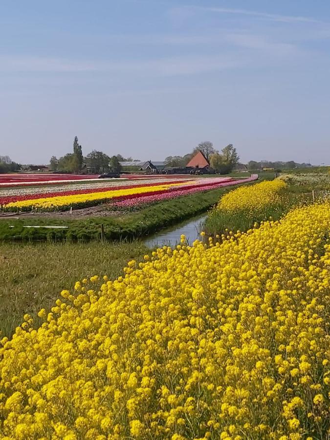 Achterom 7 Bed & Breakfast Hoorn  Exterior foto
